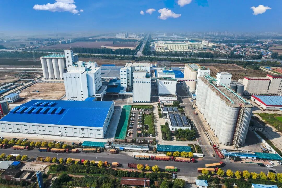 ÉÁÖÎè»á¹ÙÍø-×·Çó¿µ½¡,ÄãÎÒÒ»ÆðÉú³¤