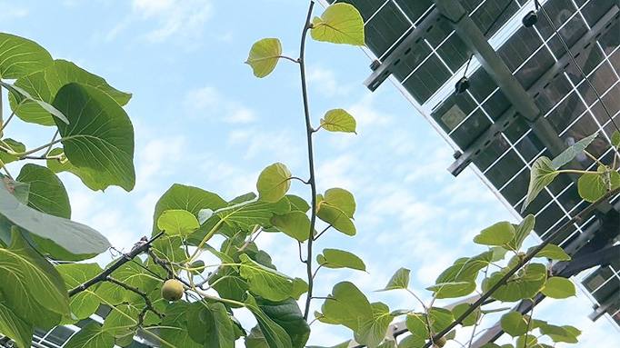 �ⰺ���� | �����˶���������������