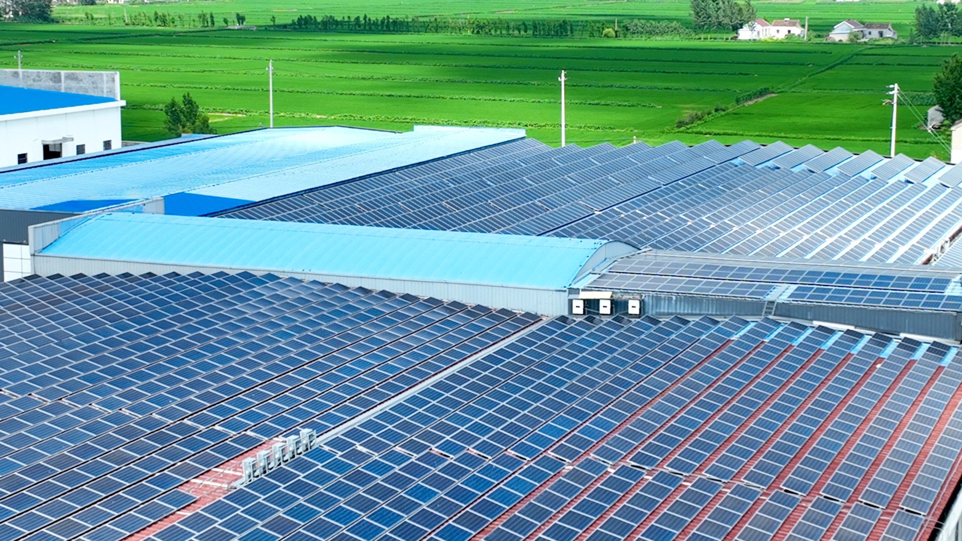 �ⰺ���� | �����˶���������������